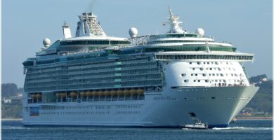 Un crucero navegando por el mar.