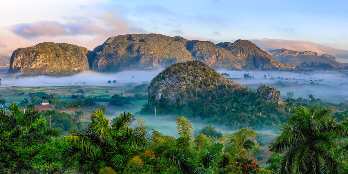 Paisaje del Valle de Viñales con mogotes, vegetación tropical y niebla al amanecer